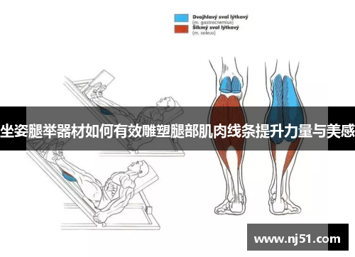 坐姿腿举器材如何有效雕塑腿部肌肉线条提升力量与美感