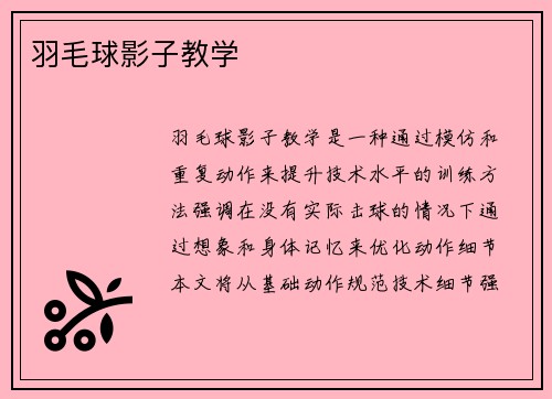 羽毛球影子教学